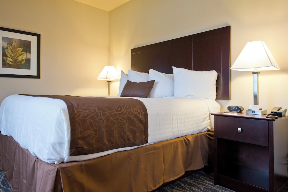 Cobblestone Inn & Suites Boone - photo 16