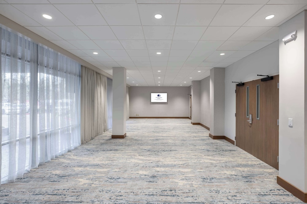 DoubleTree by Hilton Houston Medical Center Hotel & Suites - photo 66