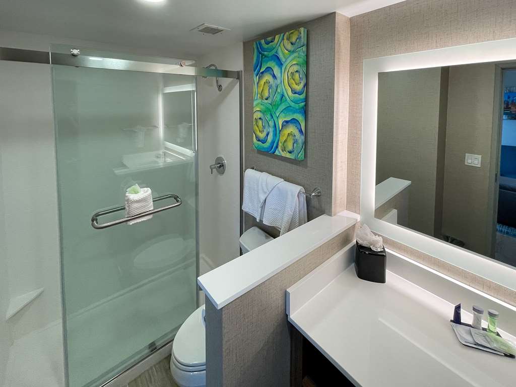 MainStay Suites Oak Brook Terrace Chicago - photo 8