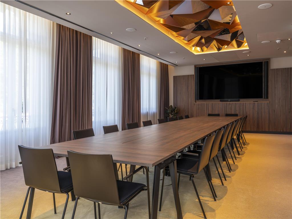 ICONS EHBB Conference MeetingRoom