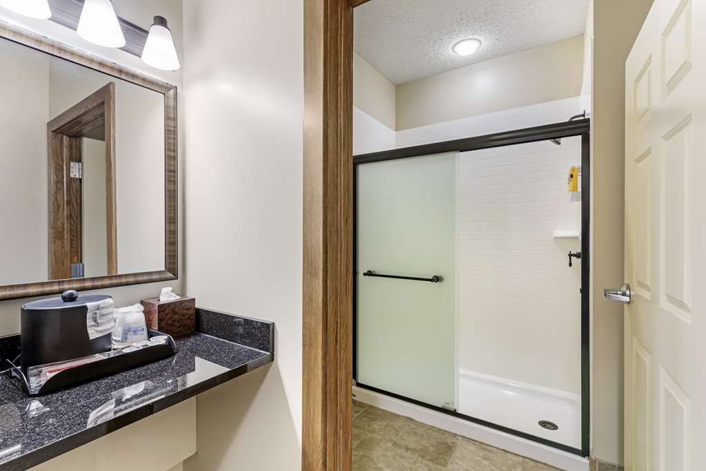 Best Western Plus Dutch Haus Inn and Suites - photo 39