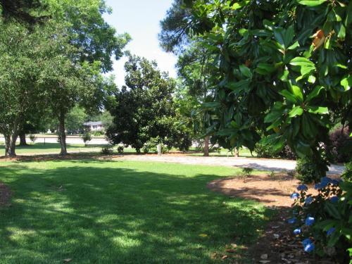 White Columns Motel - photo 20