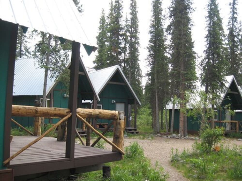Denali Perch Resort - photo 22
