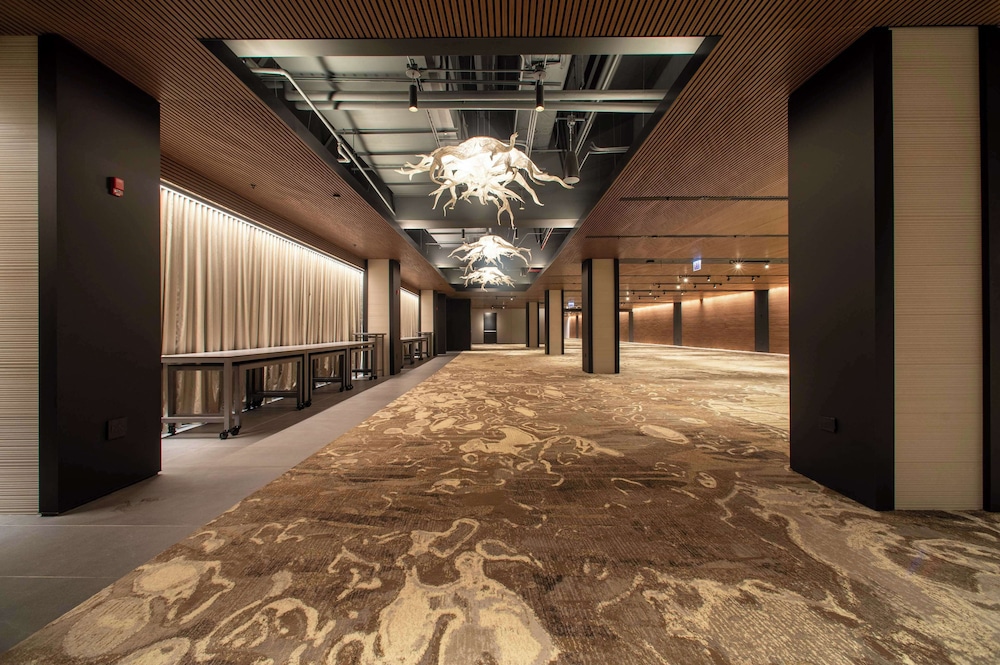 Hilton Chicago O'Hare Airport - photo 89