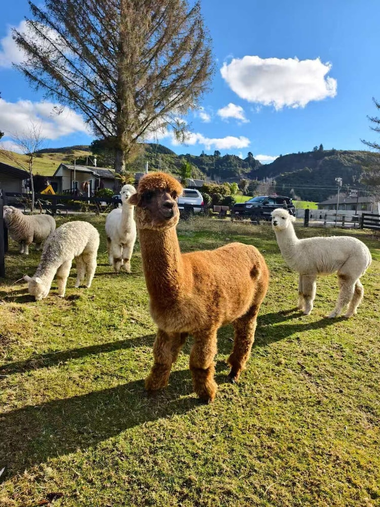 Hideaway of Rotorua in Rotorua, New Zealand