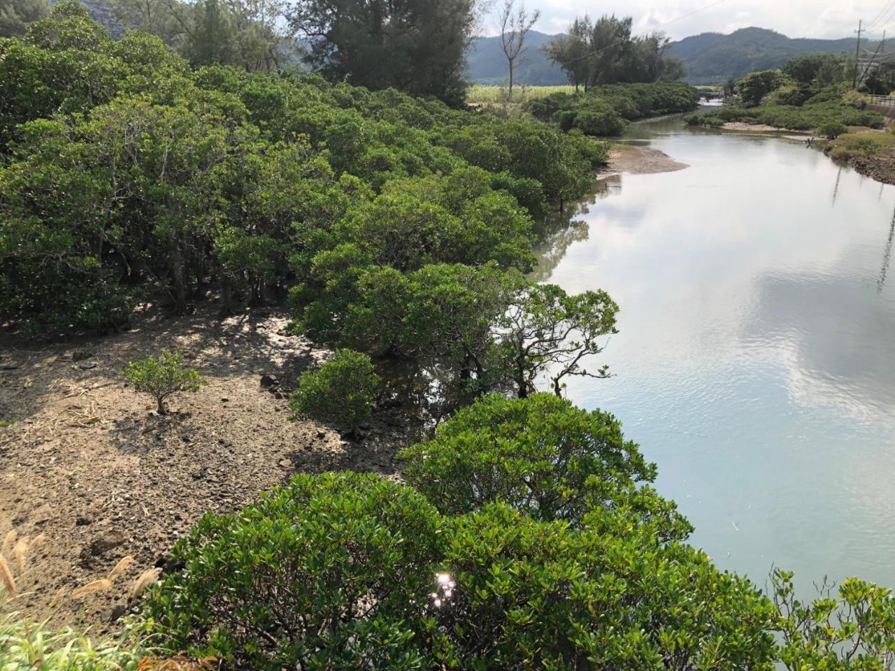 Amami North Mangrove Inn Vacation STAY 90032v