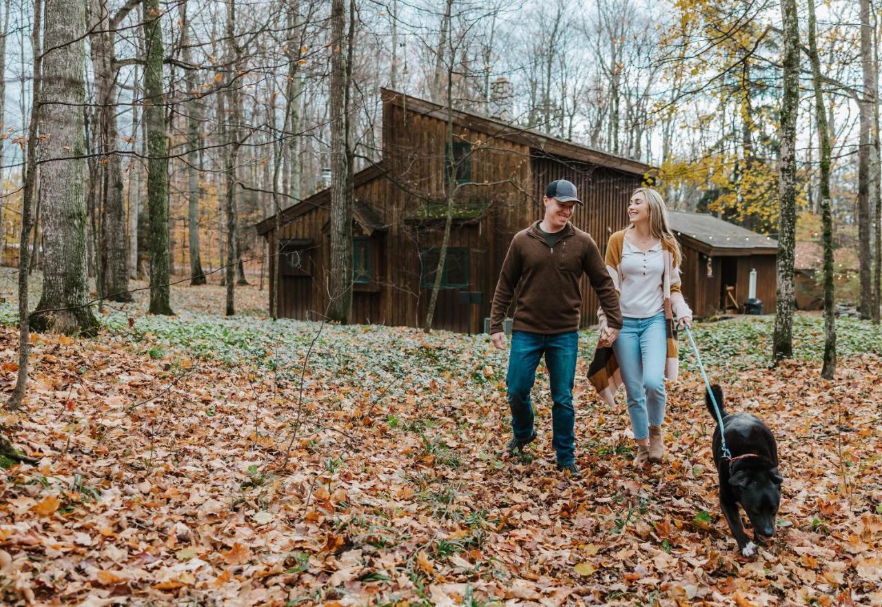 Finnwood A Pet Friendly Woodland Retreat in Traverse City, United States