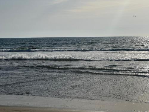 Spacious Two Bedroom in Santa Monica #E — Los Angeles — photo 4