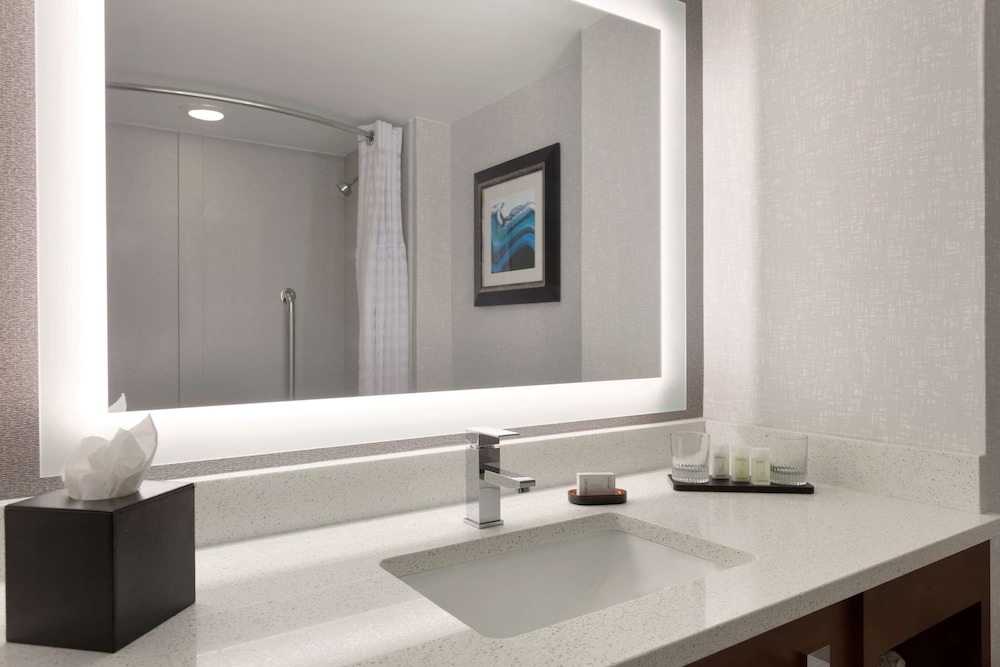 Embassy Suites by Hilton Atlanta Airport - photo 19