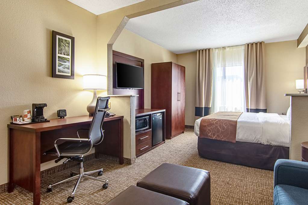 Comfort Suites Knoxville Airport - photo 14