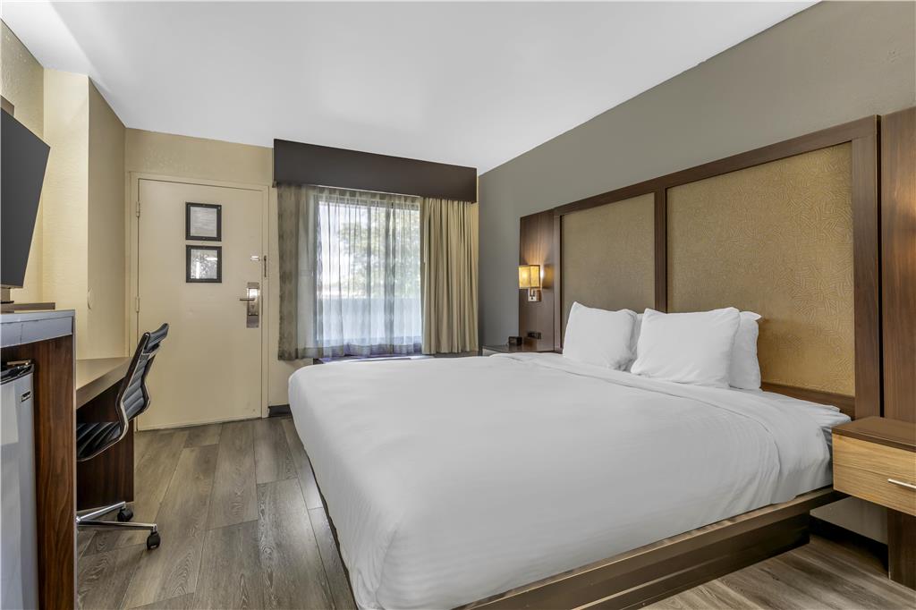 Best Western Salisbury Plaza - photo 39