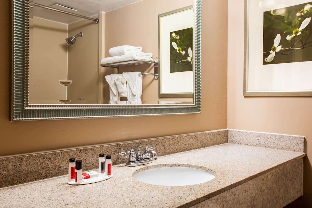 Sonesta Select Hotels Statesville - photo 15