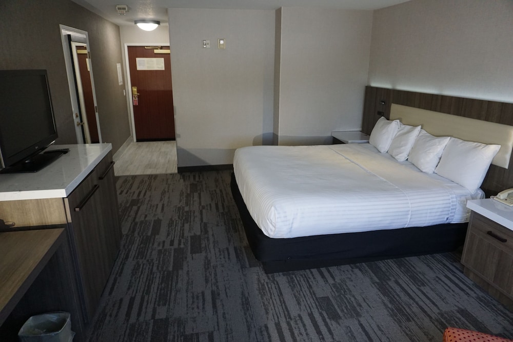 Modesto Hotel - photo 10