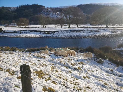 Ty Capel Isa — Blaenau-Ffestiniog — photo 3