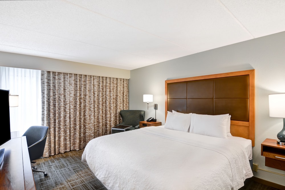Hampton Inn Albany Wolf Road - photo 7
