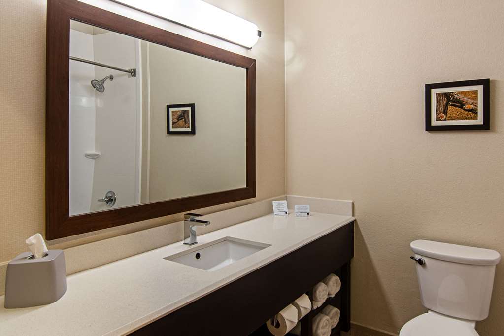 Comfort Suites NW Dallas Near Love Field - photo 28