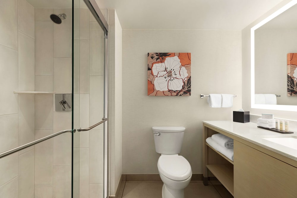 Embassy Suites by Hilton Denver International Airport - photo 30