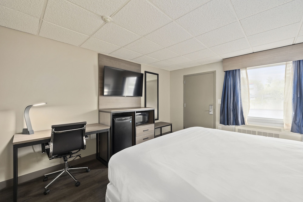 The Elmwood - photo 13