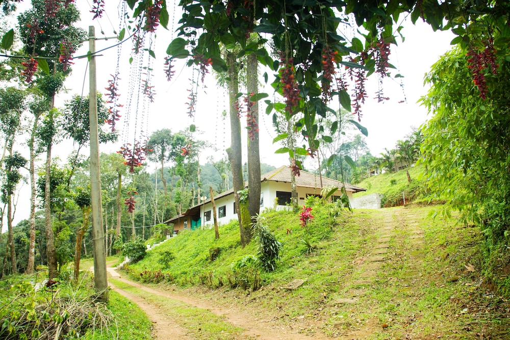 Room The Nest Bettathur Coorg Ct No 1 — Madikeri