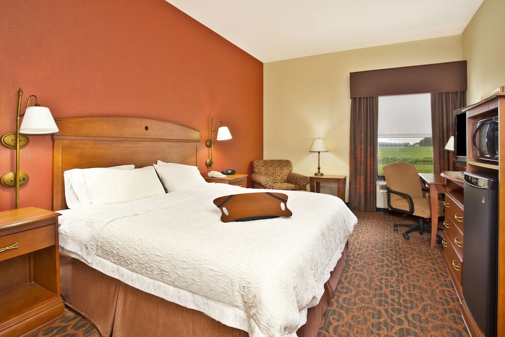 Hampton Inn Anderson - photo 6