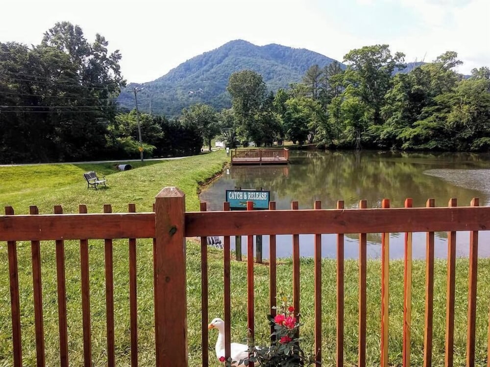 Dancing Bear Lodge - photo 23