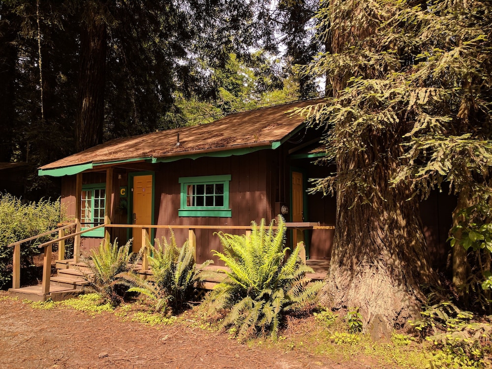 Emerald Forest Cabins - photo 146