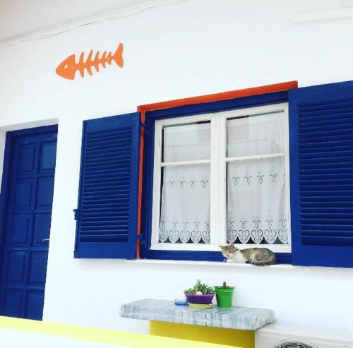 Viva Margarita — Antiparos — photo 4