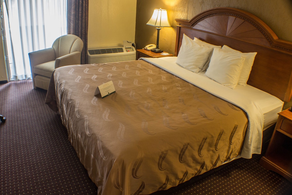 Quality Inn & Suites Erie near Casino - photo 11