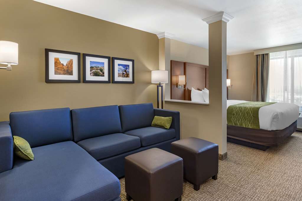 Comfort Suites Albuquerque Airport - photo 6