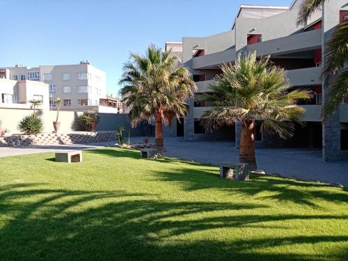 Beach Hive 2 — Walvis Bay — photo 4