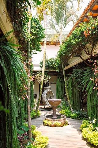 Los Olivos Hotel Boutique Y Restaurante in Antigua Guatemala, Guatemala