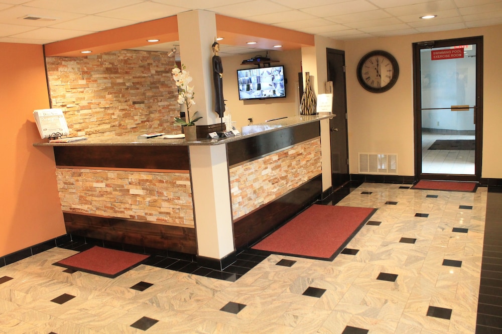 Eco Lux Inn - photo 4