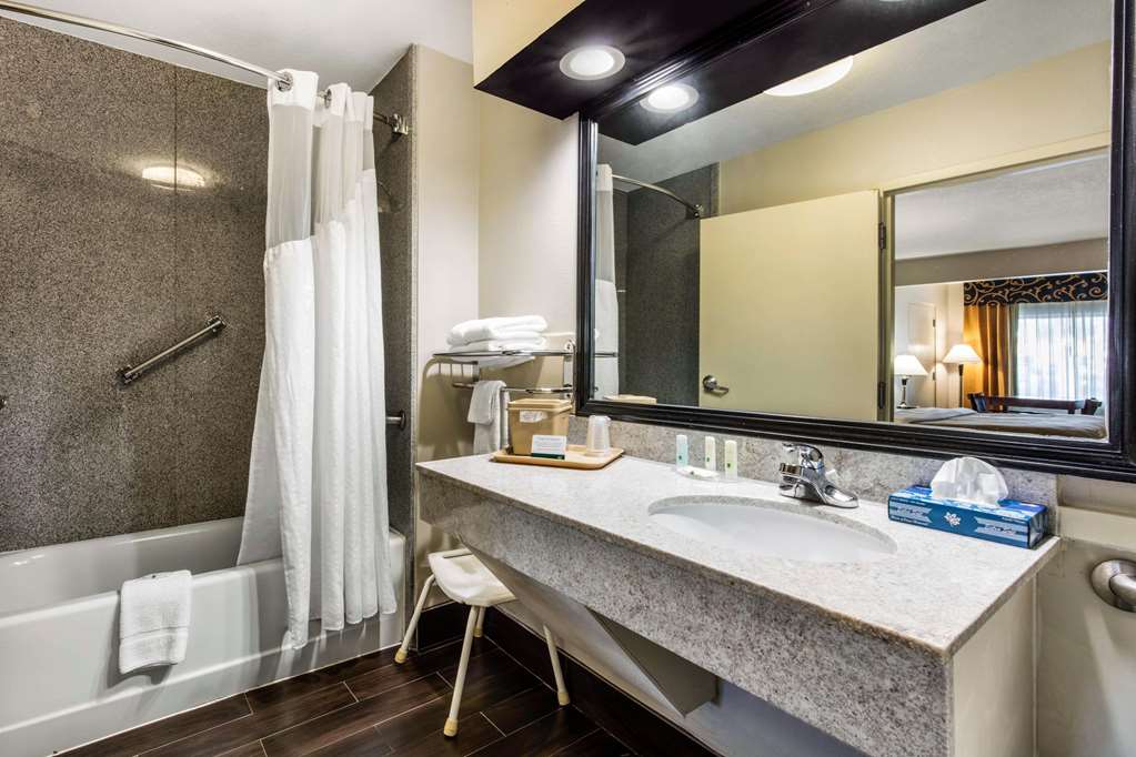 Quality Inn Memphis Airport - photo 21