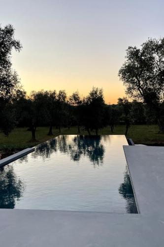 Che Bello Trullo Piscina Jacuzzi Pallavolo — Ceglie Messapica