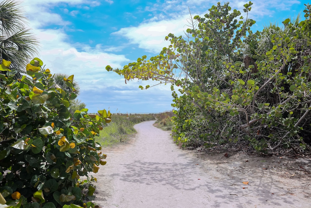 Siesta Key Beach Resort and Suites - photo 94