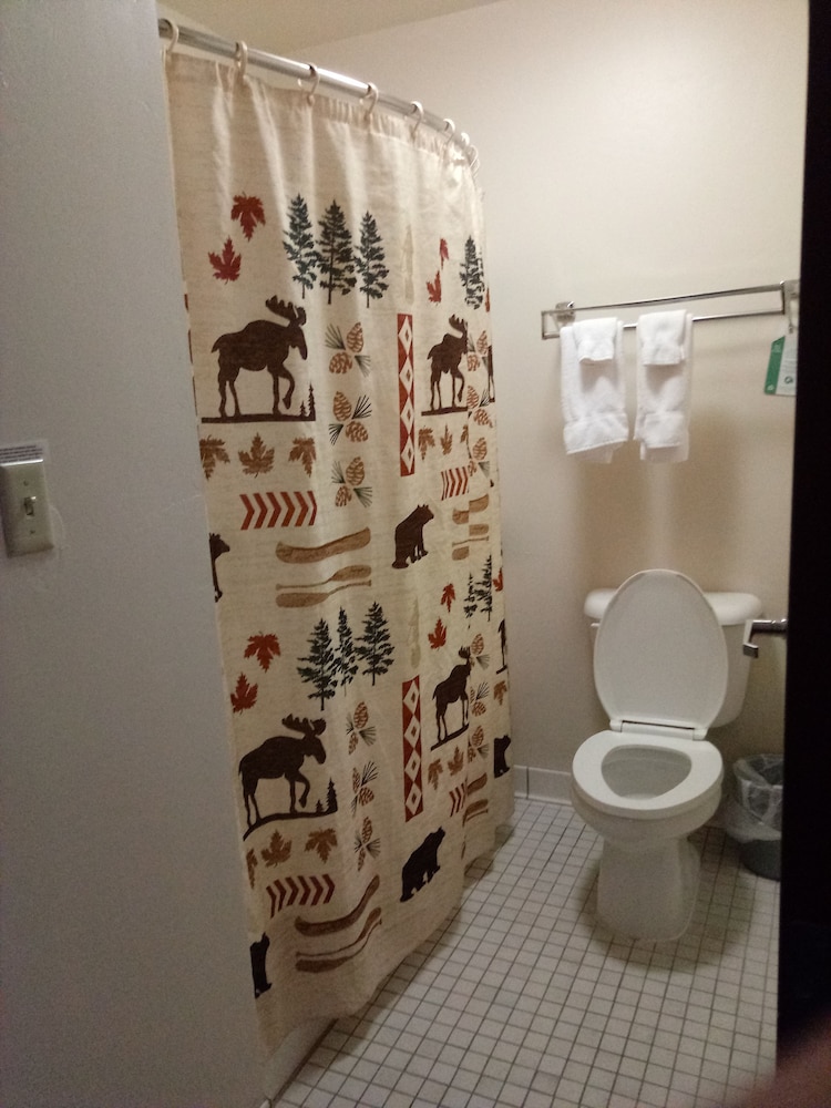 Kelly Inn West Yellowstone - photo 38
