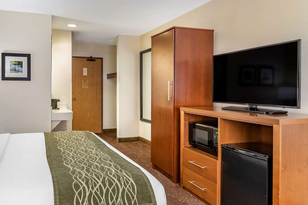Comfort Inn Okemos East Lansing - photo 19