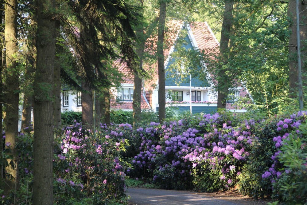 Hotel De Barones — Dalfsen