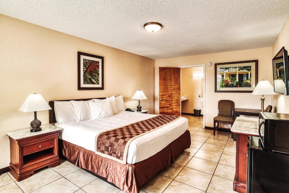Palms Garden Inn - photo 21