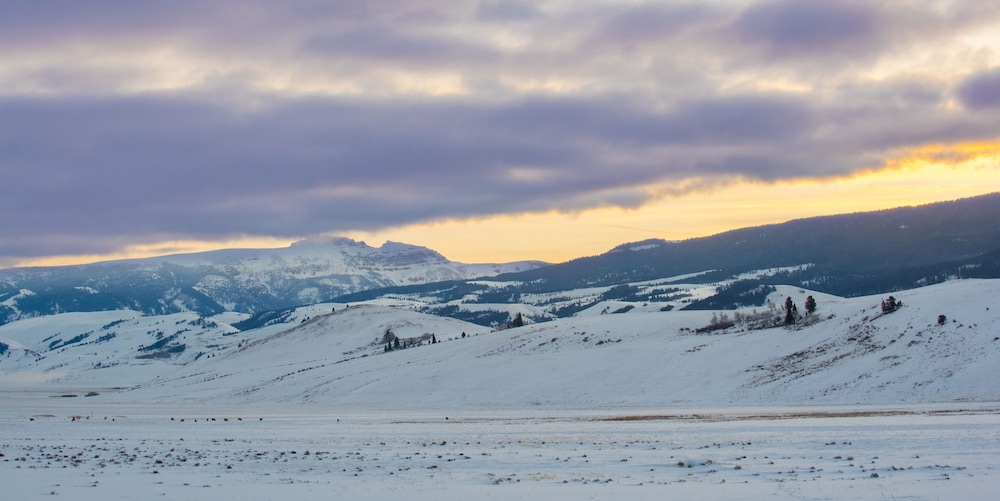 Elk Refuge Inn - photo 64