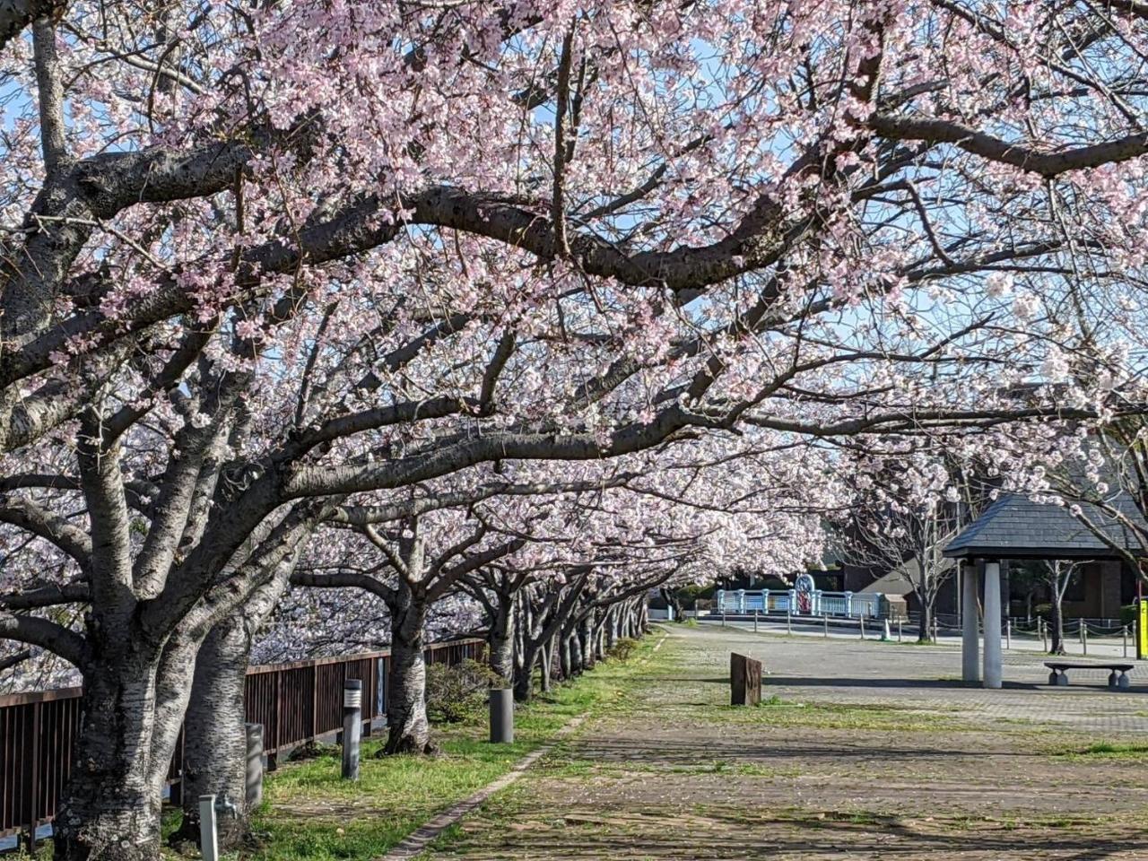 Okawaya Vacation STAY 49372v — hotel in Okawa