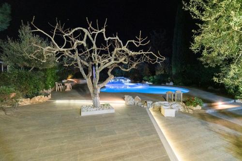 L’antica quercia — Andria — photo 4