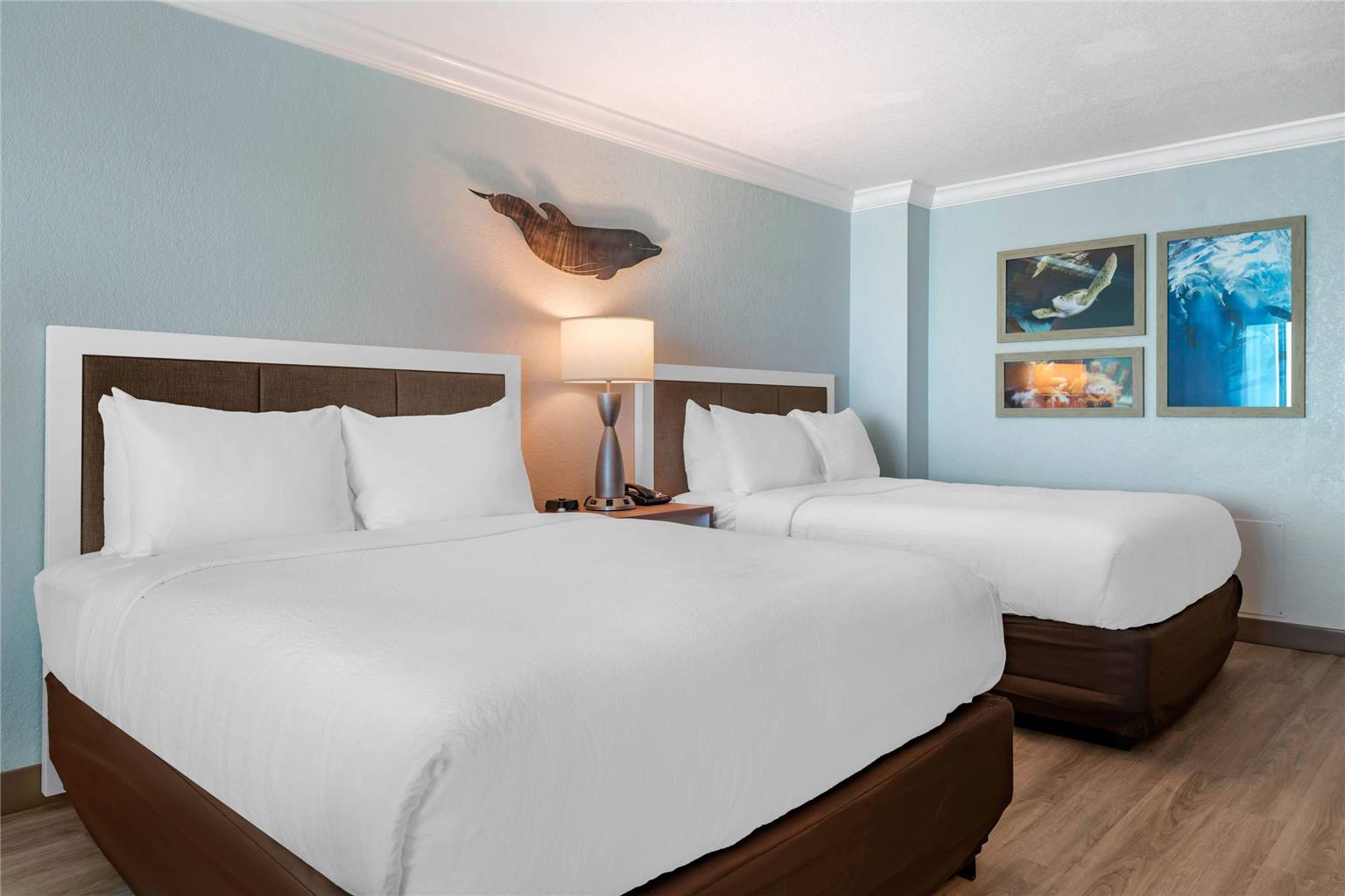 Dolphin Sands Clearwater Beach an Ascend Collection Hotel - photo 34
