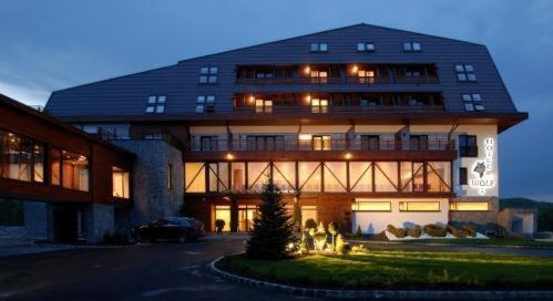 Wolf 2 in Brasov, Romania