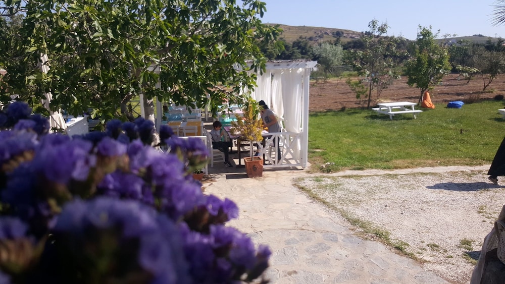 Madam Eleni - carbon neutral hotel in Bozcaada