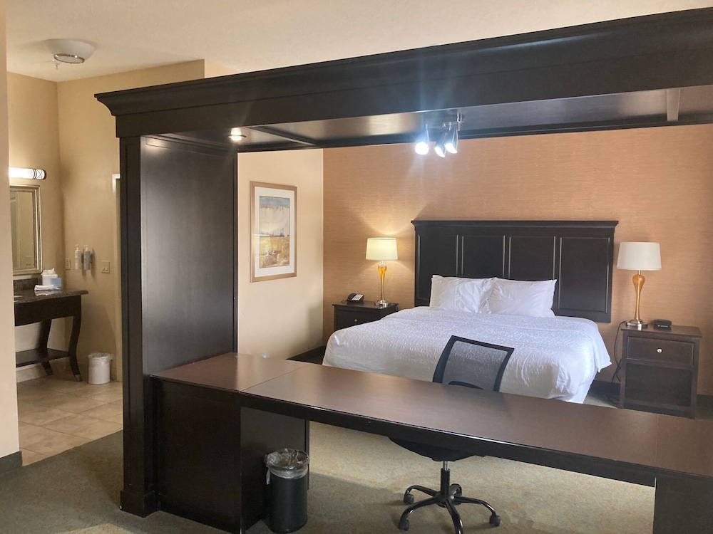 Hampton Inn & Suites Carlsbad - photo 17