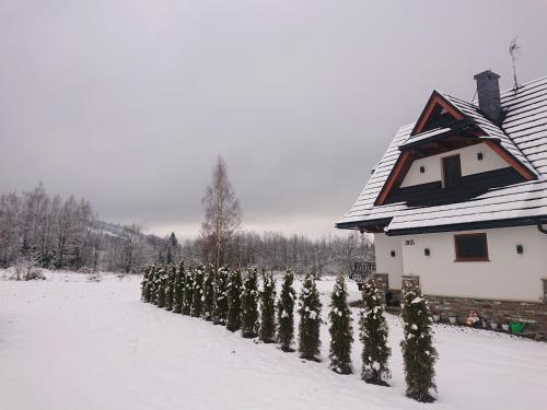 Jurgowski Domek - last minute hotel in Unknown City