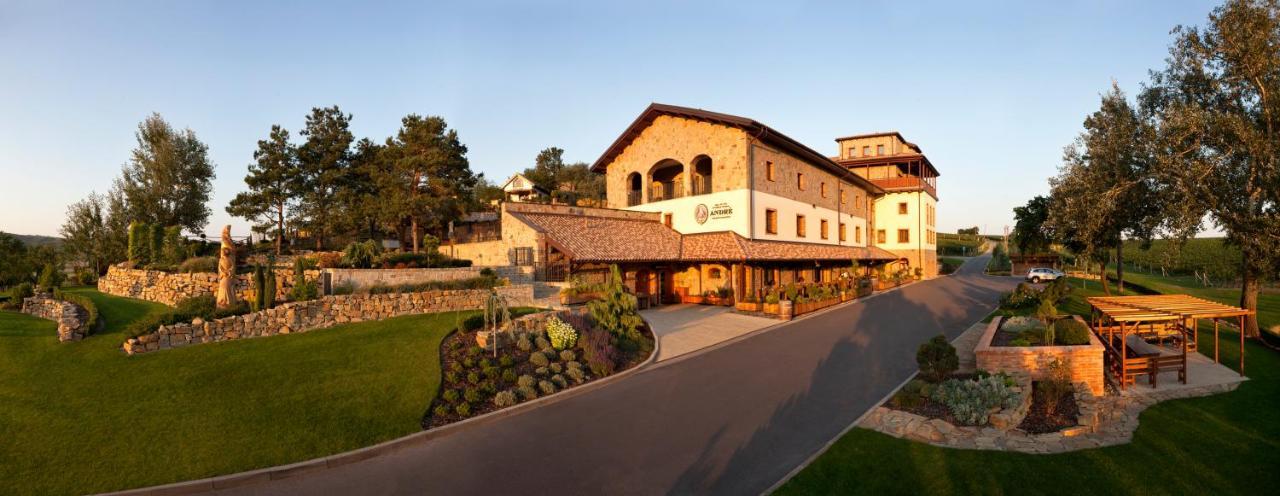 Vinařský penzion André — 4-Star Luxury Hotel in Velke Pavlovice, Czech Republic