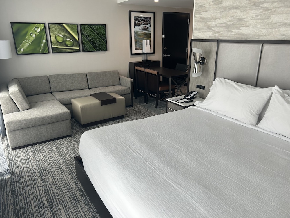Embassy Suites By Hilton Alpharetta Halcyon - photo 15