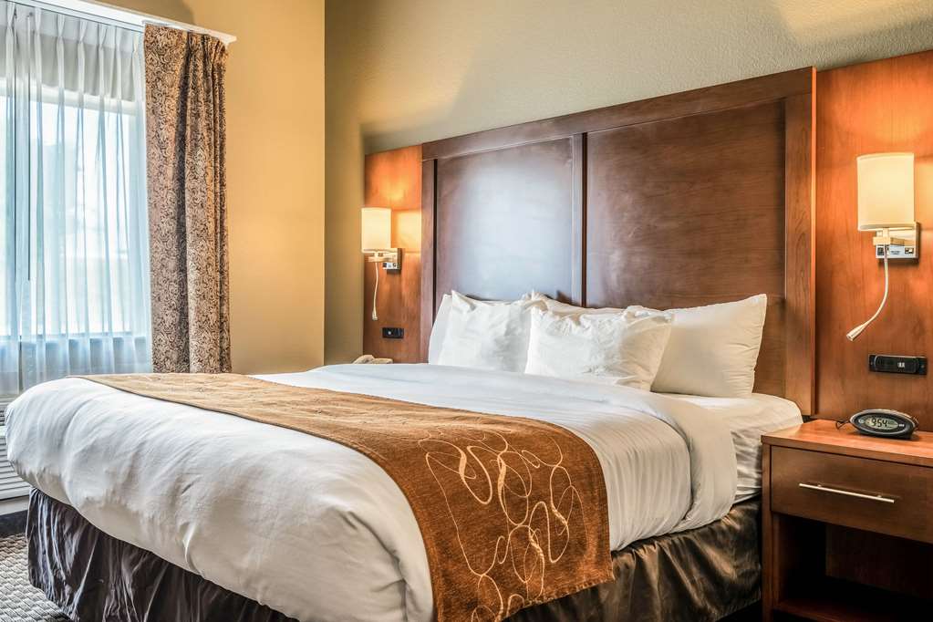 Comfort Suites Near Texas State University - photo 17